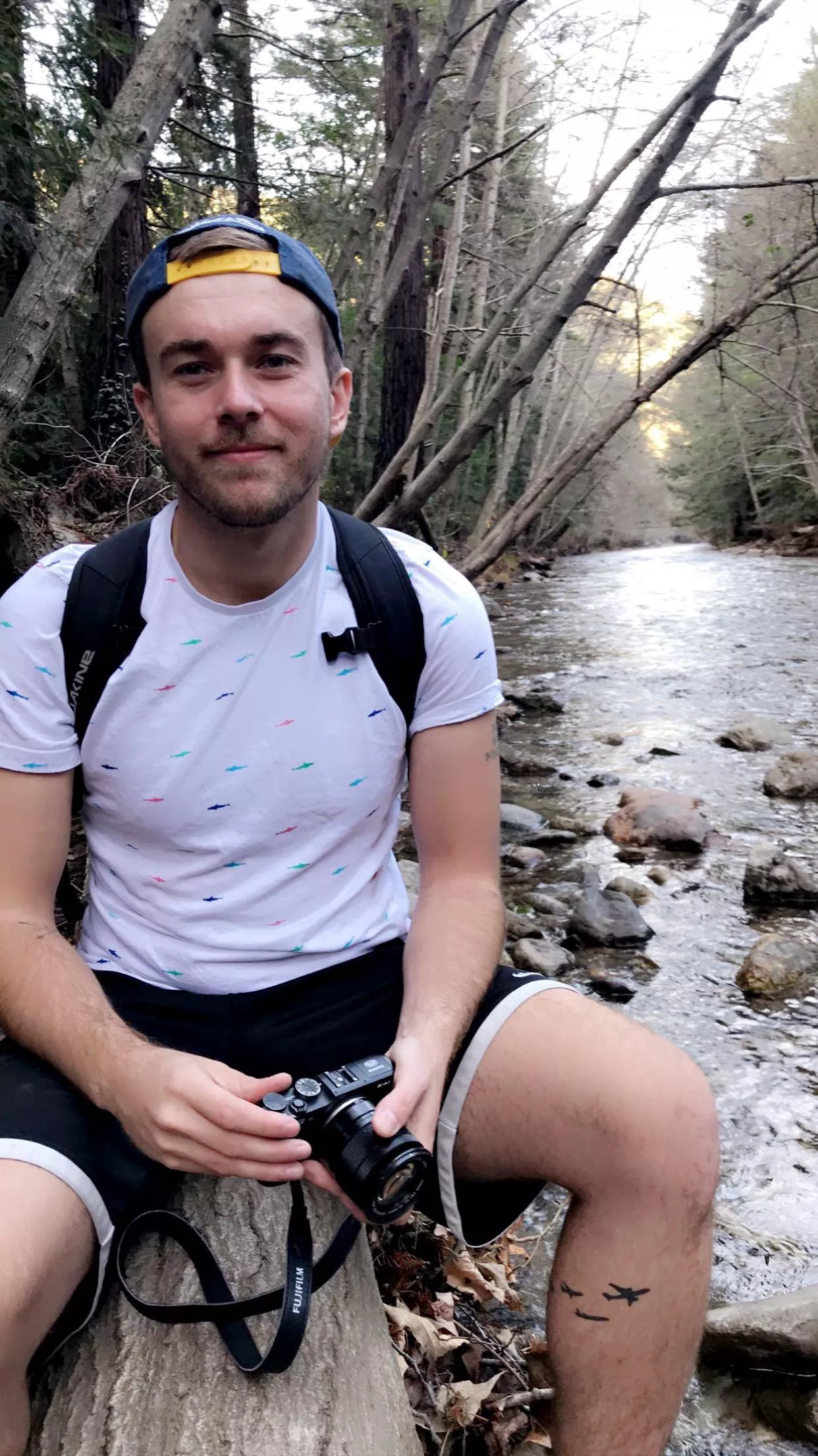 Anyone live in the SF Bay Area?