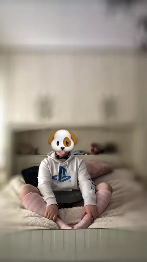 Anyone looking for a puppy 🥺🐶💕