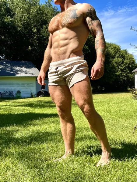 Anyone need help with their lawn?