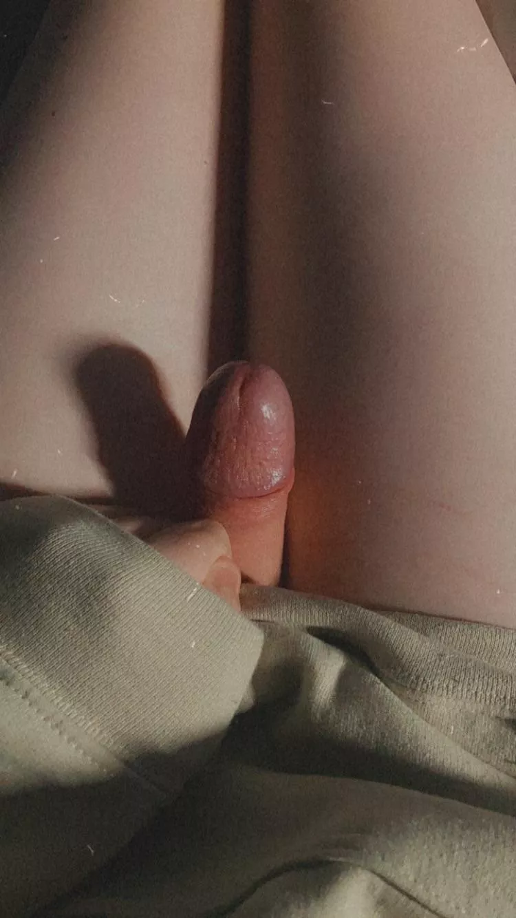 Anyone wanna cuddle? 🥺