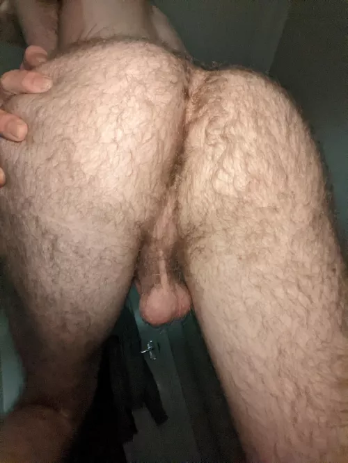 Anyone wanna eat my tight British arse ?