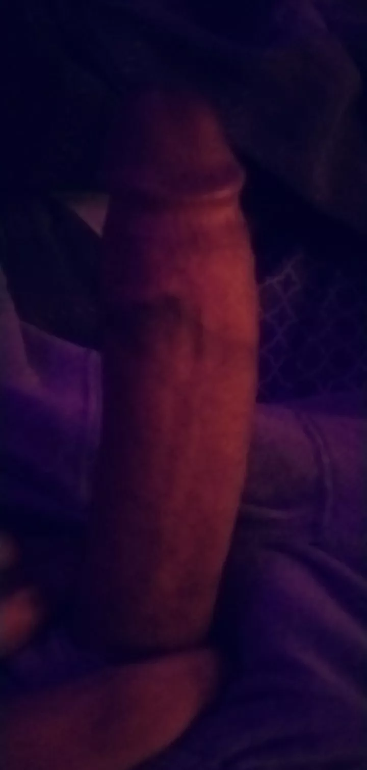 Anyone wanna help with this morning wood