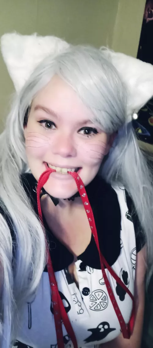 Anyone wanna lease me? 😸