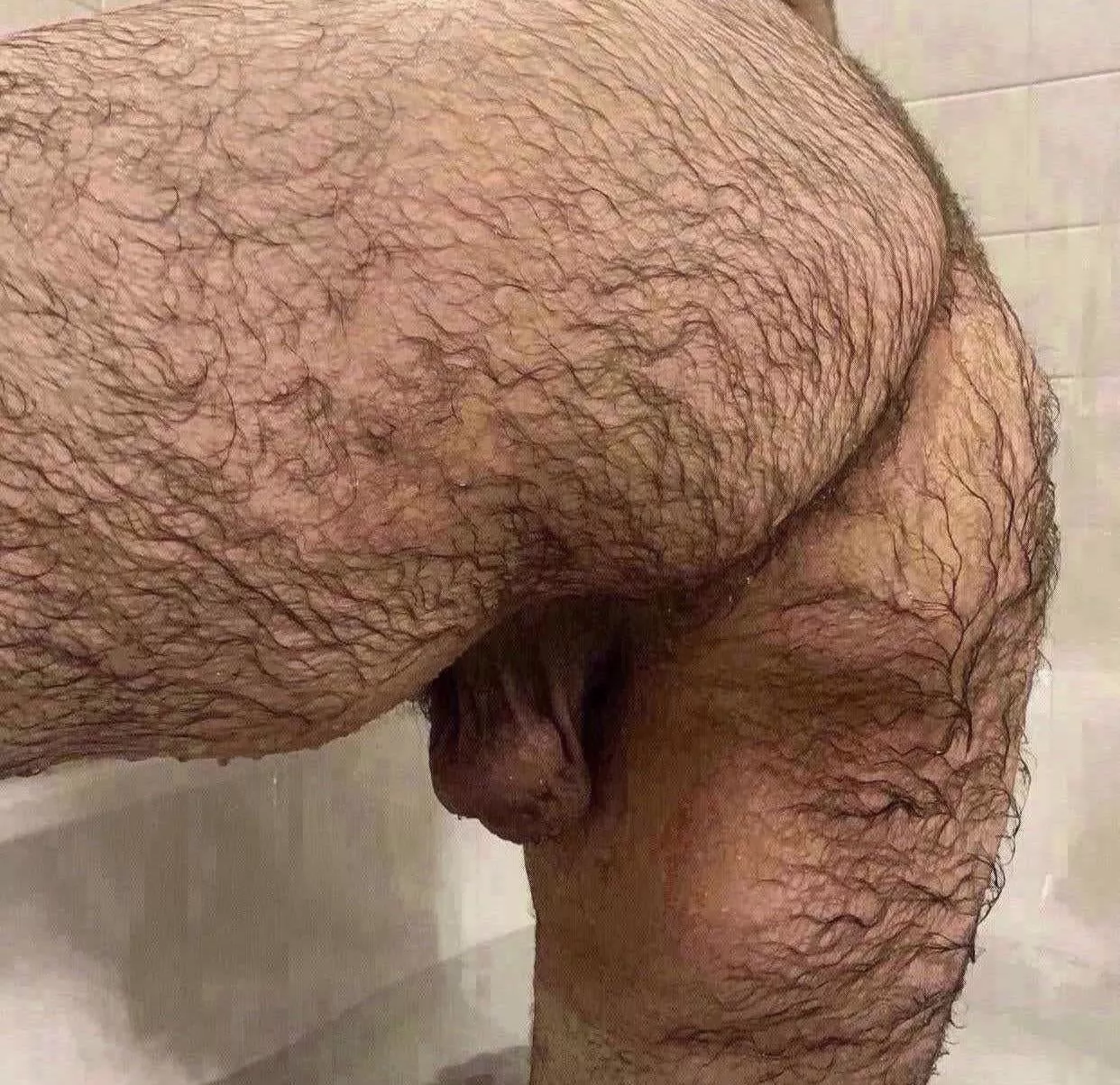 Anyone wanna own me?