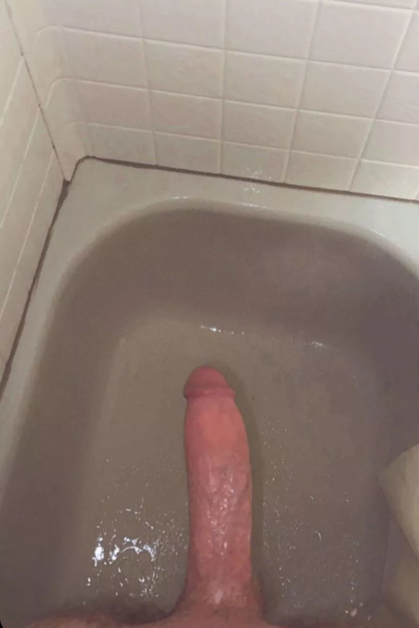 Anyone wanna watch me stroke?