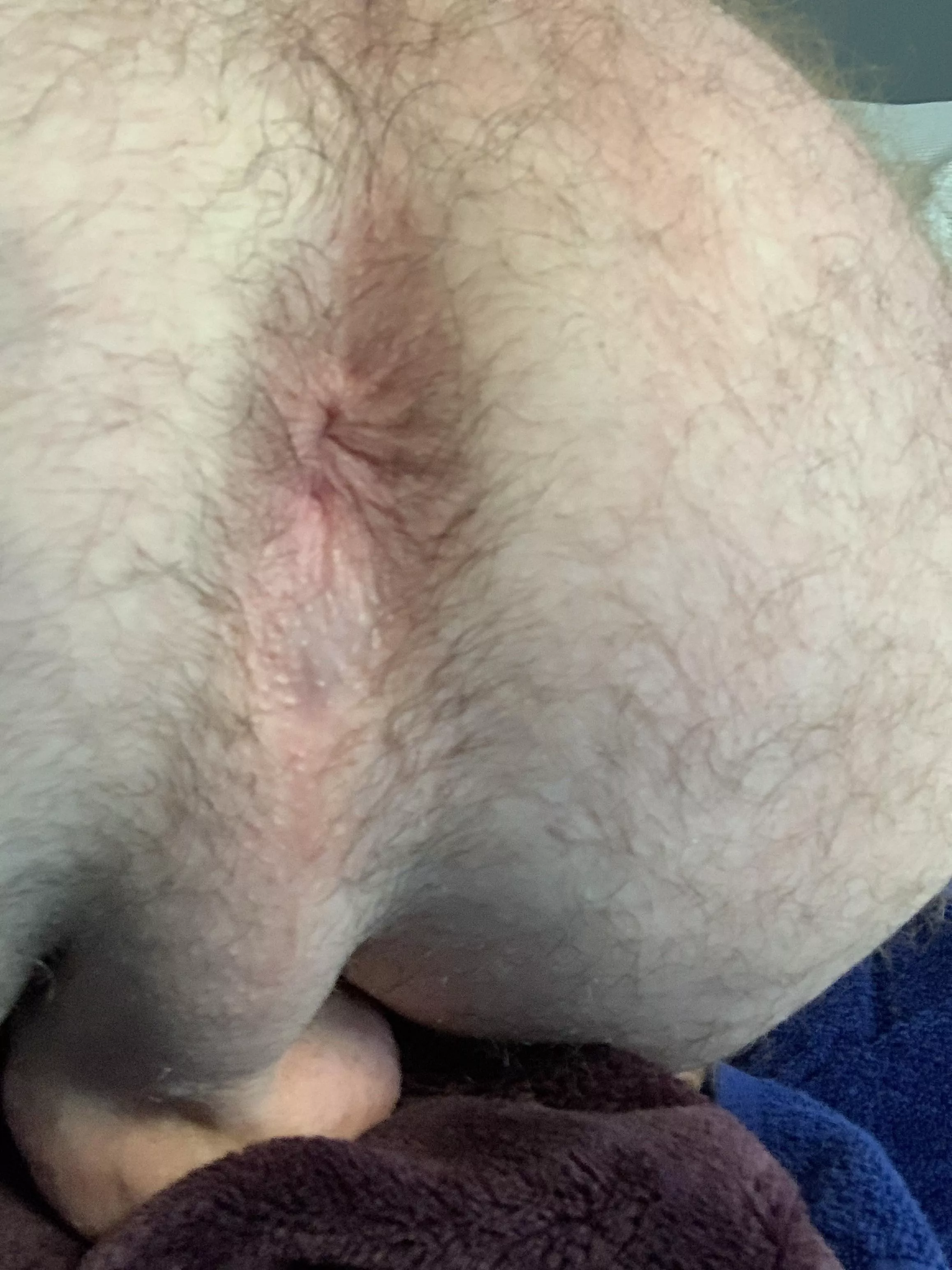 Anyone want to celebrate hump day with me? Anyone want to celebrate hump day with me?