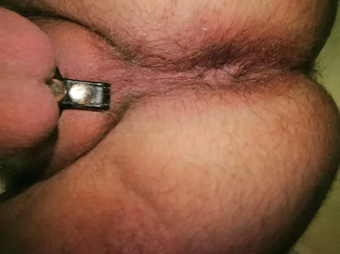 Anything you want to keep in my Cubby Hole? 🐻