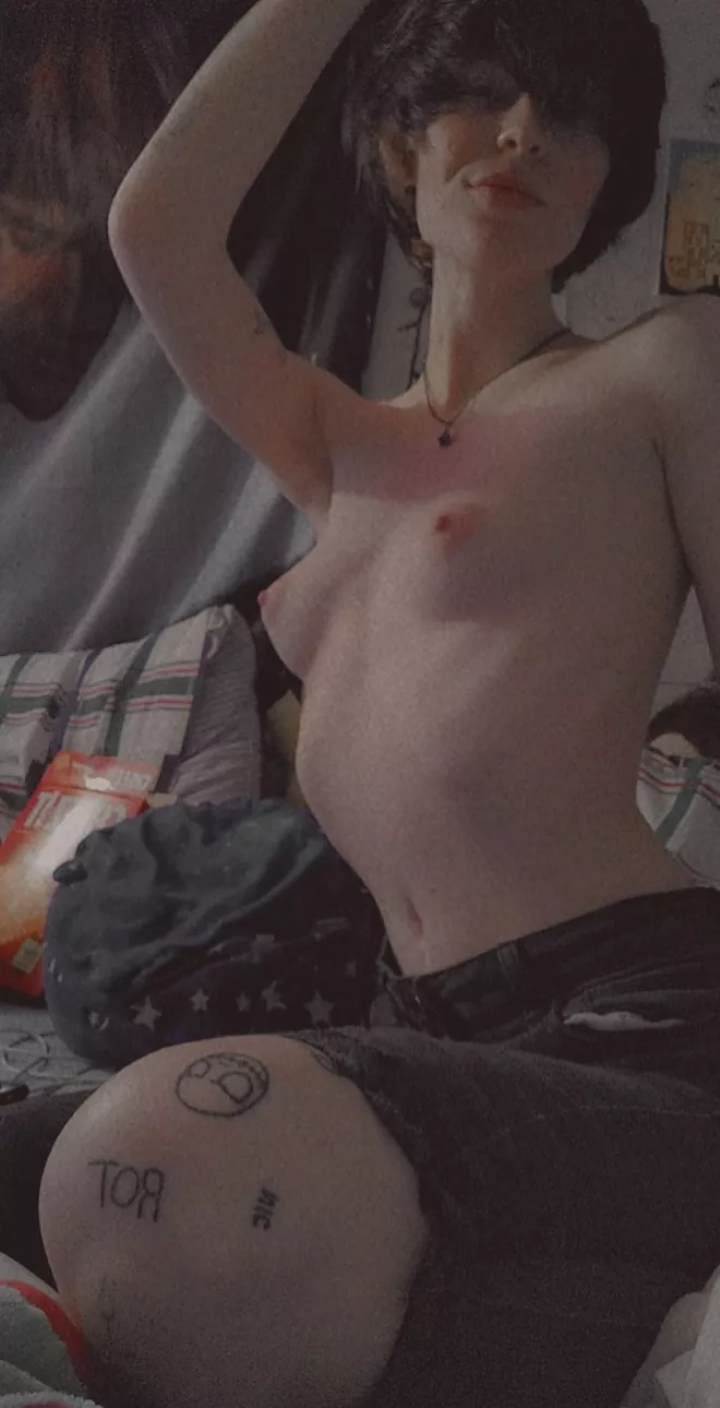 Are alt shorthairs allowed here?