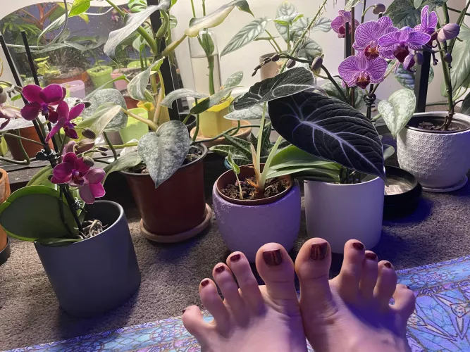 Are my toes cutes ?