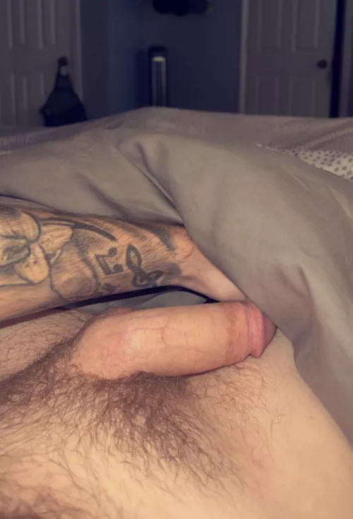 Arm or softie? Guess you’d have to reach in and find out