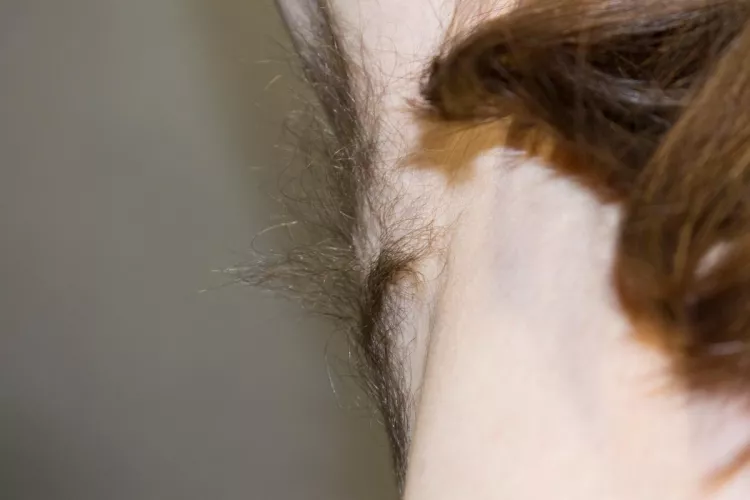 Armpit hairs close-up