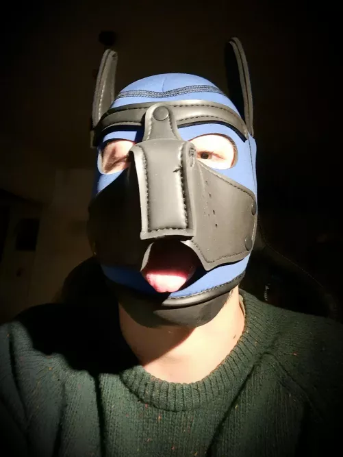 Aroo say hi, I'm new! Looking for friends!