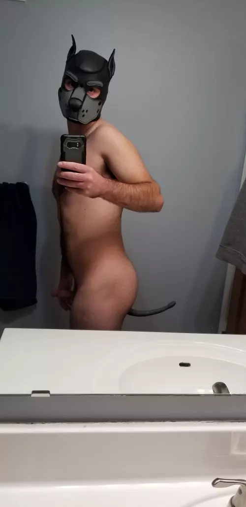 Arooooo! Loving my new tail!