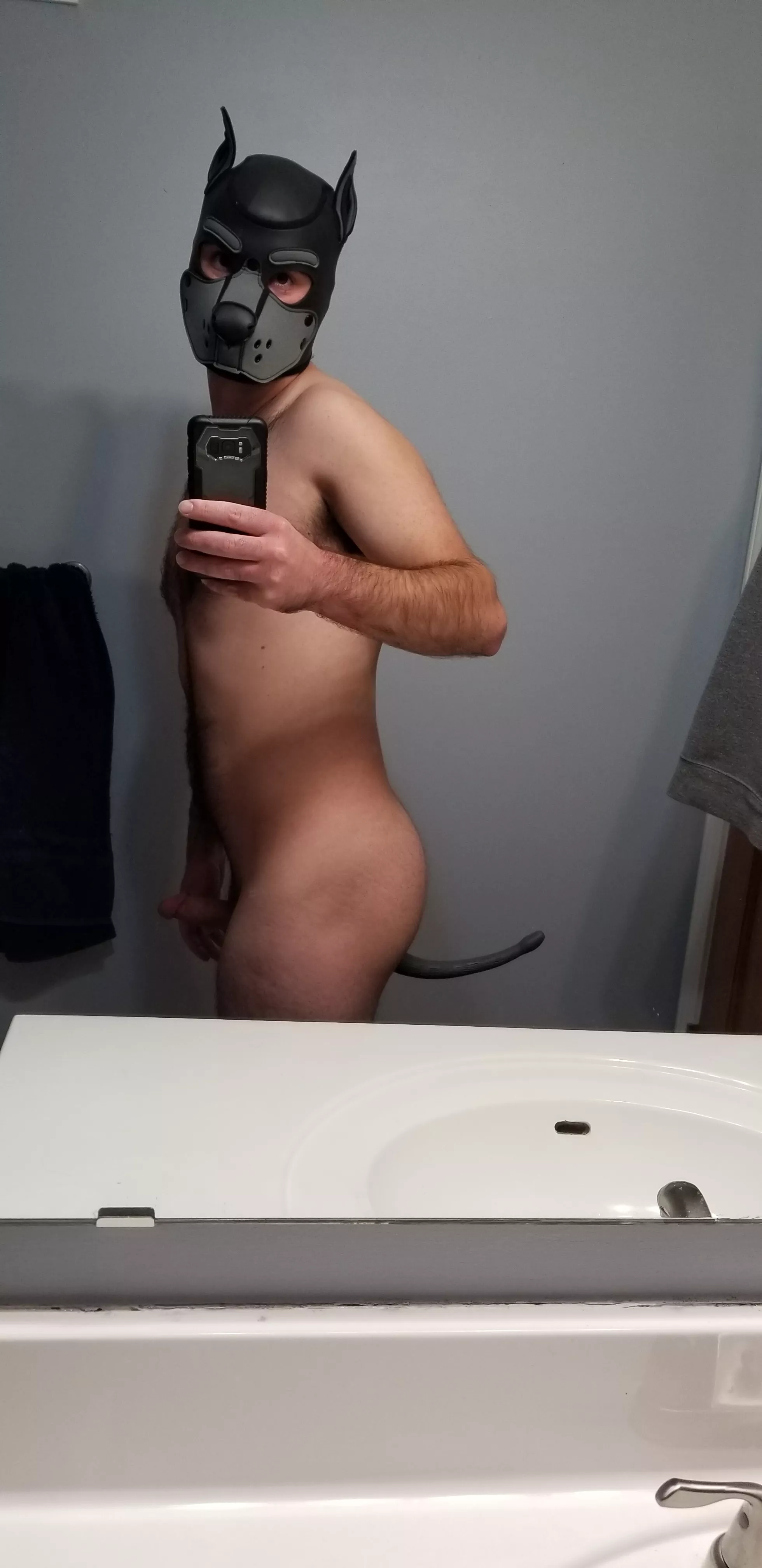 Arooooo! Loving my new tail!