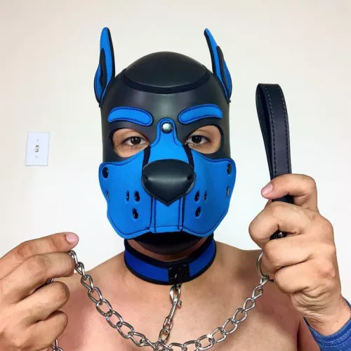 Arwoo, Pup Jairo here 🦮