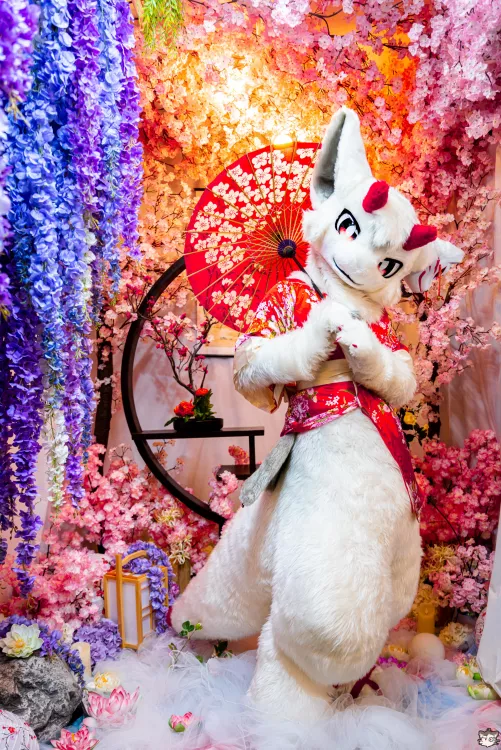 At a japanese-style studio