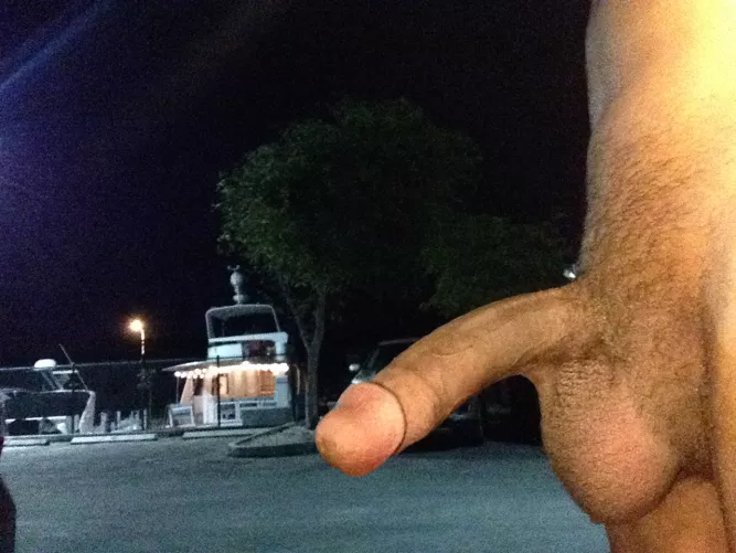 At the marina
