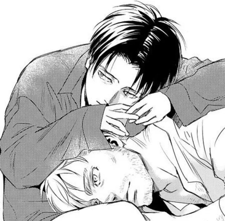 [Attack On Titan] There is something about this ship that makes me want to cry. If it were true that they loved each other, even in secret? I love them together. I can imagine like a soulmate thing. Agh.