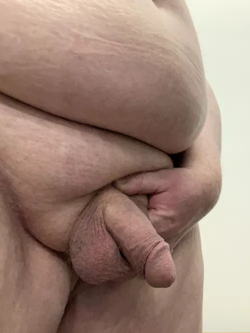 Average FatBoy penis