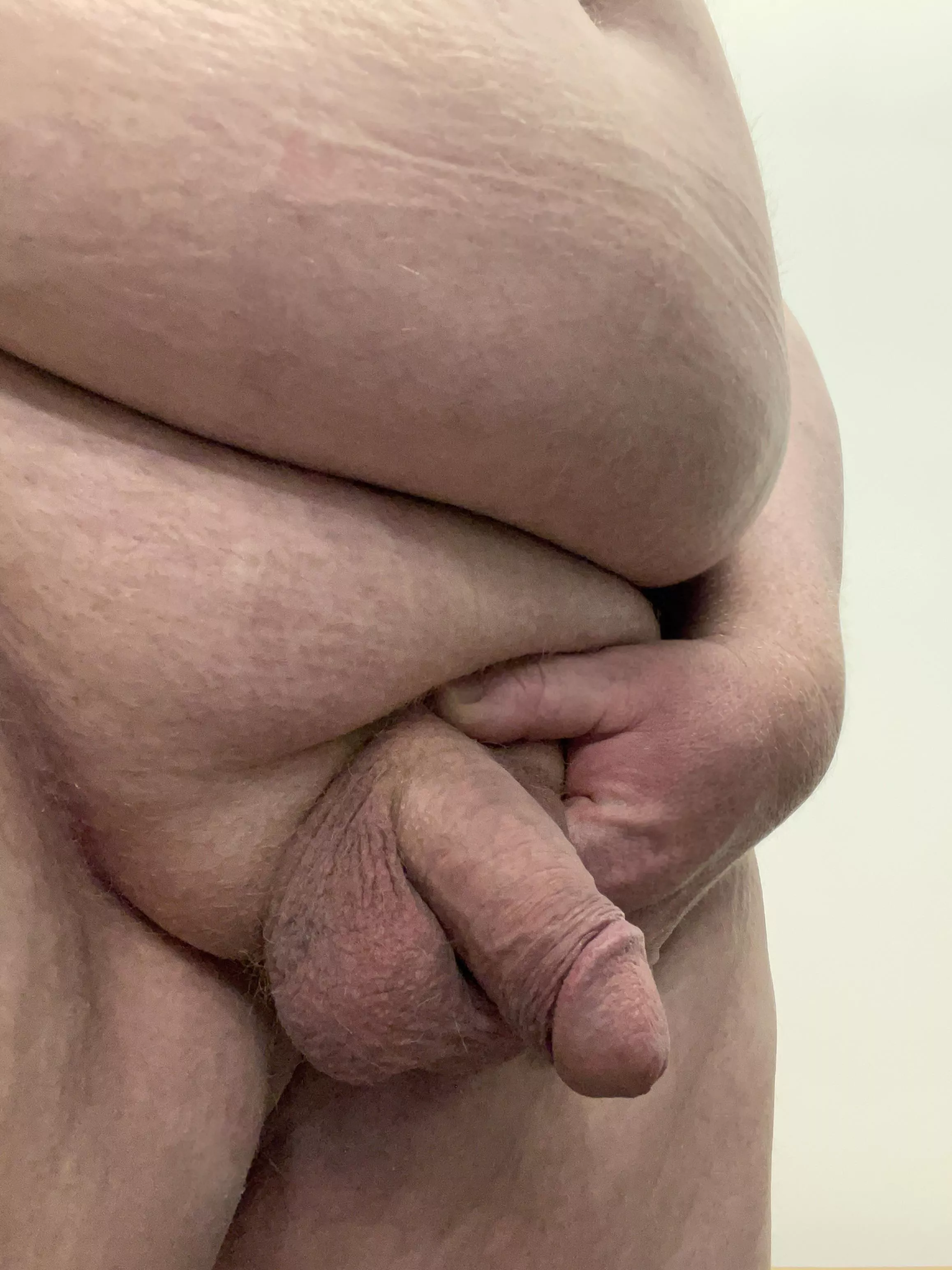 Average FatBoy penis