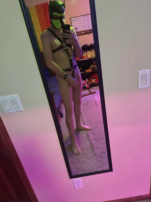 Awoo! Who’s taking me for a walk?