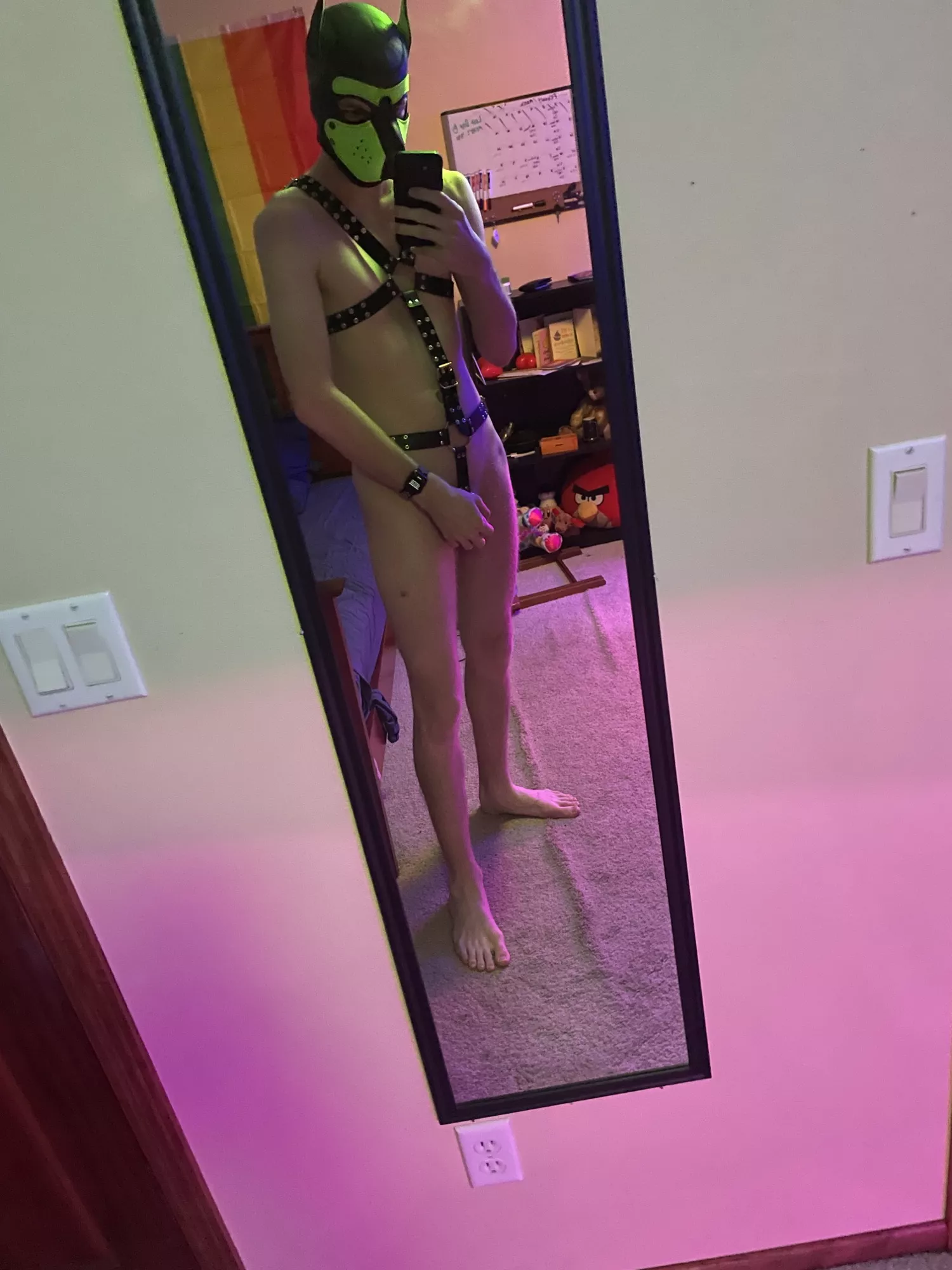 Awoo! Who’s taking me for a walk?