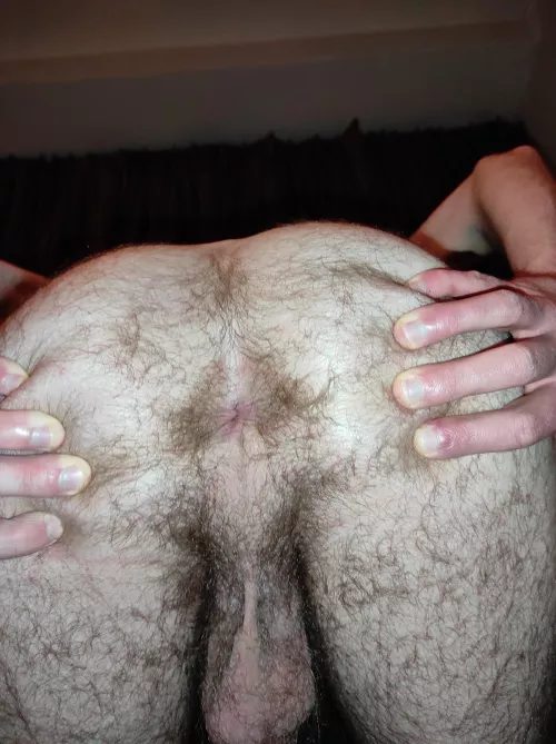 Back from my holiday break, and I plan to keep posting my hairy asshole!