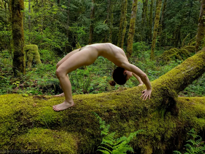 Backbend on a mossy log🌿