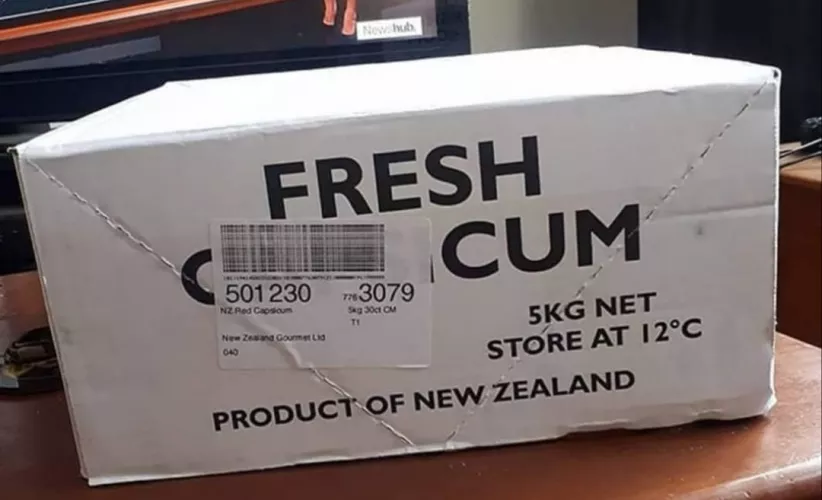 Bad Dragon:'We have discreet packaging' Also Bad Dragon: