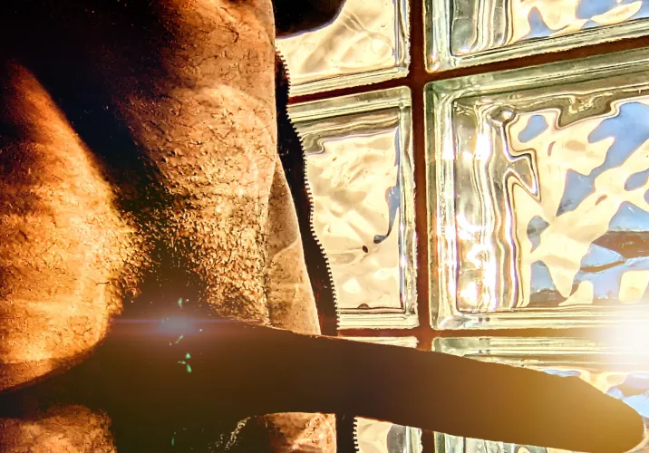 Bask in the (M)orning Glow