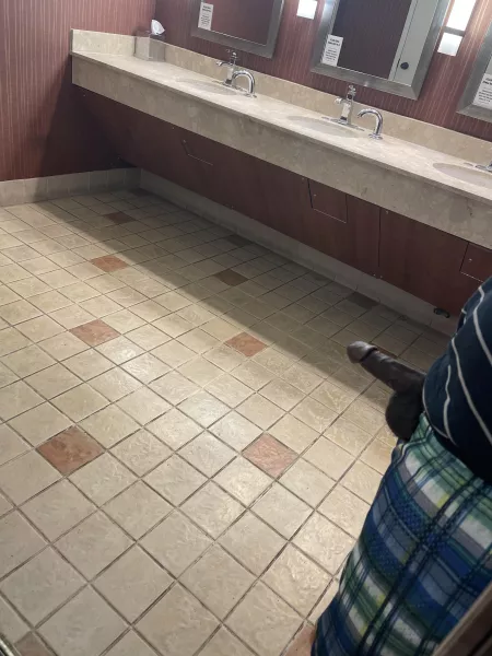 Bathroom stroking