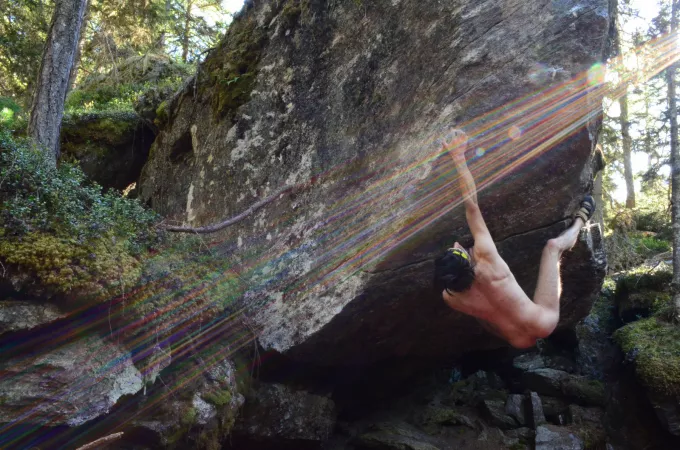 Be wild, be free [m]