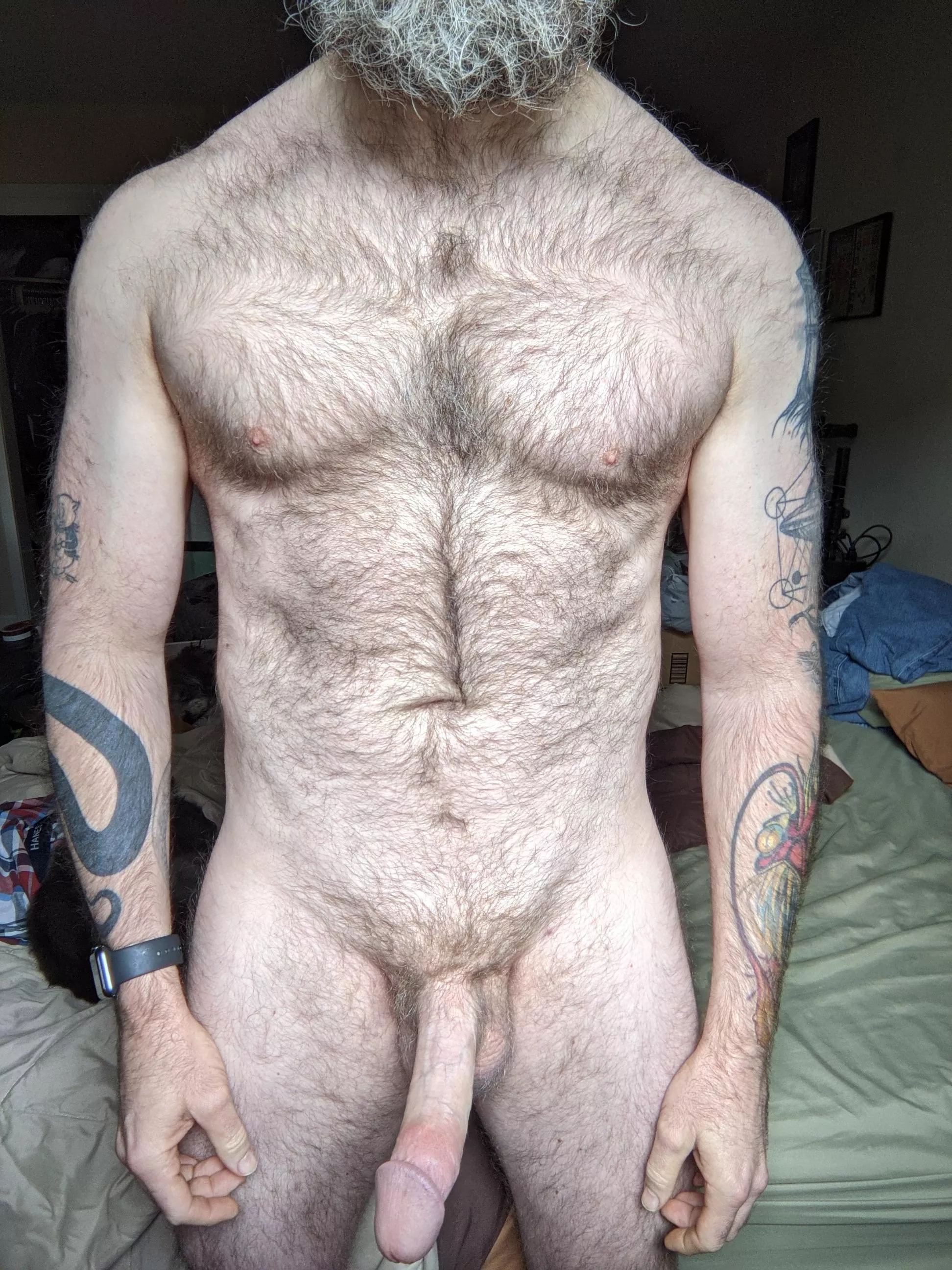 Beard, boner, big balls, bedroom Beard, boner, big balls, bedroom