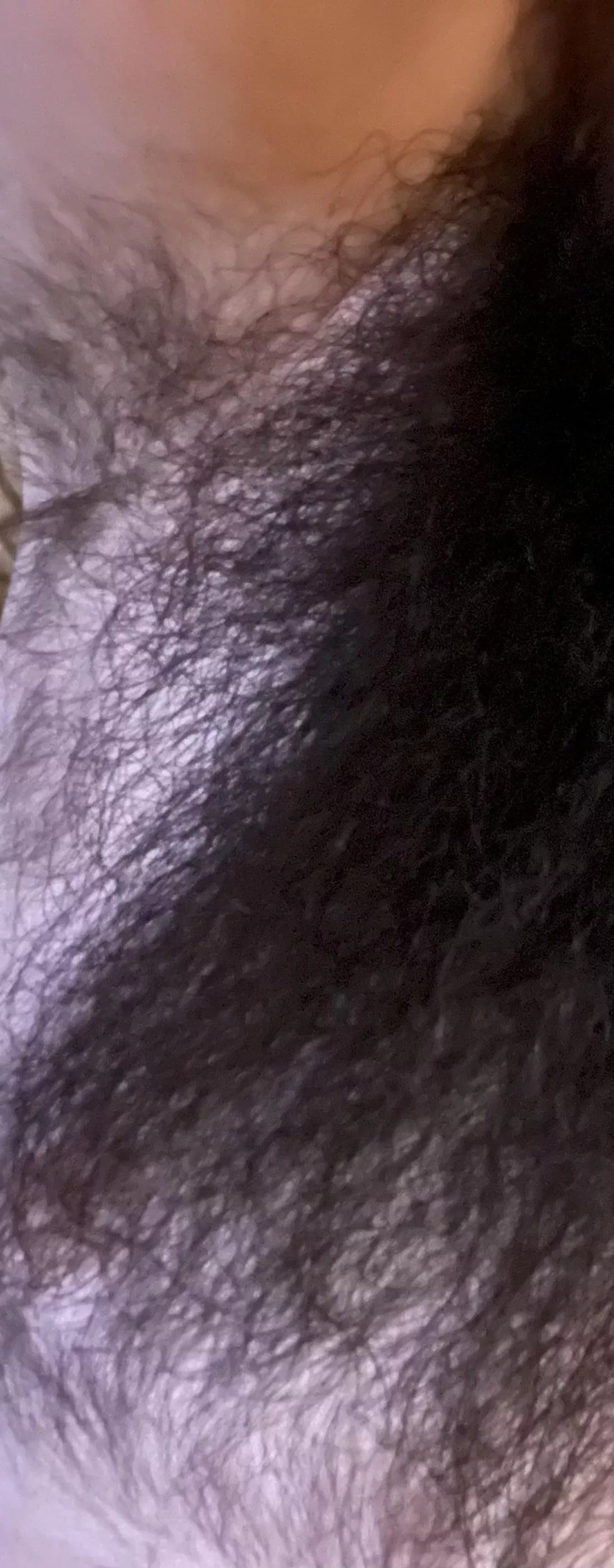 Beard pit chest. Where does the hair begin/end? Beard pit chest. Where does the hair begin/end?