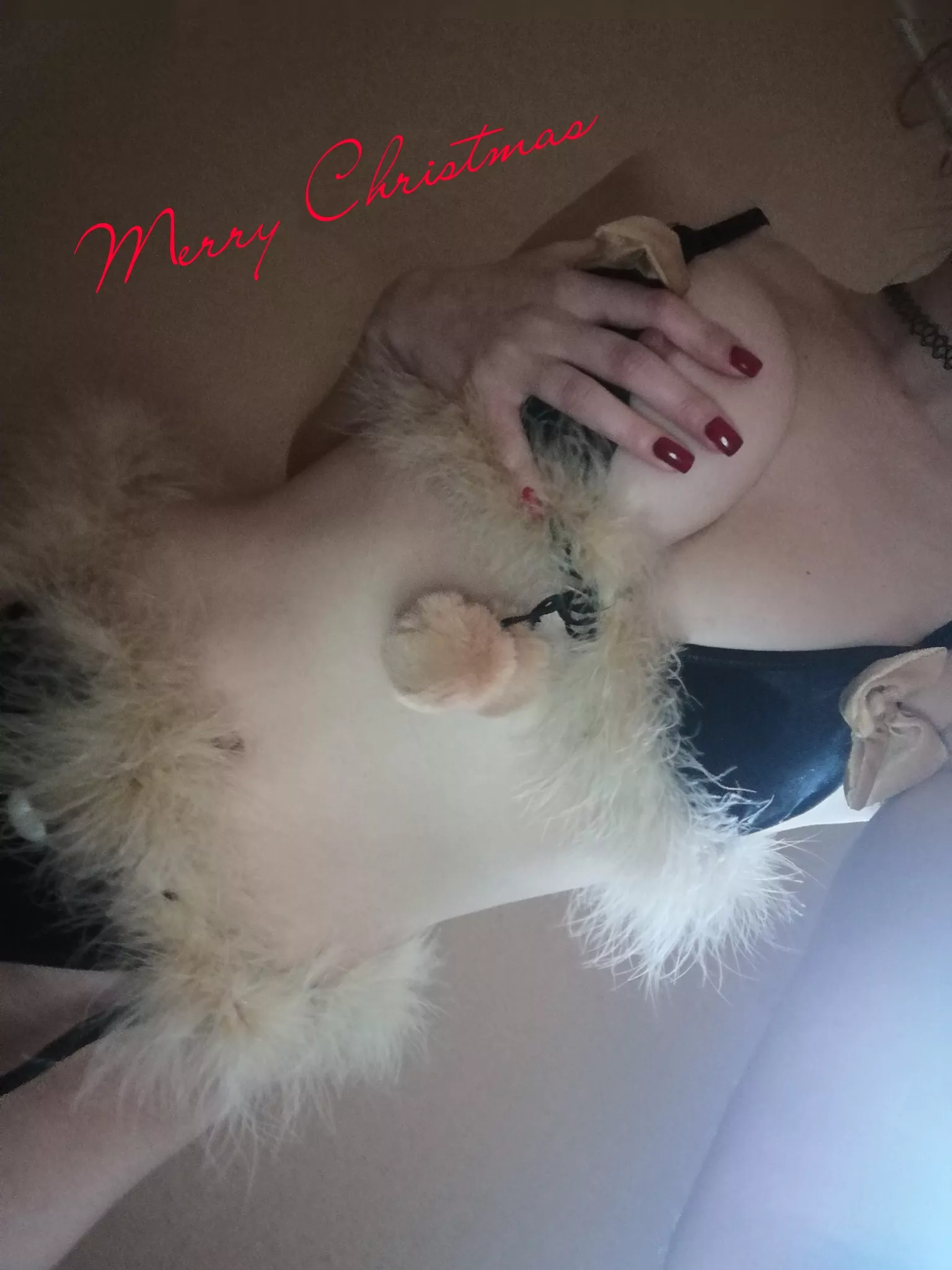 🍒Beautiful and delicious cherry for you🍒