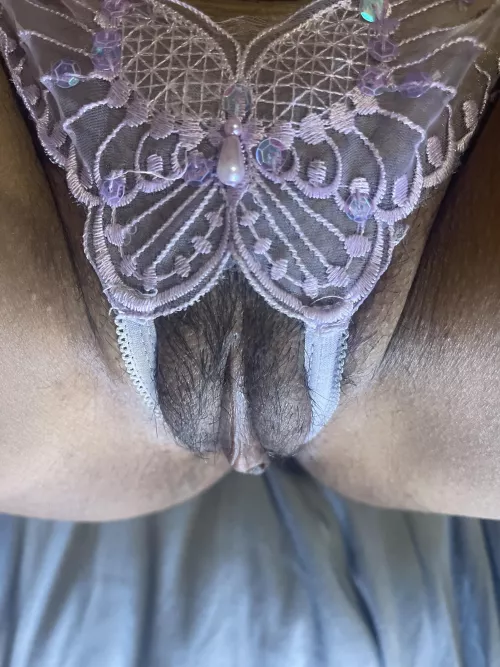 Beautiful butterfly 🦋