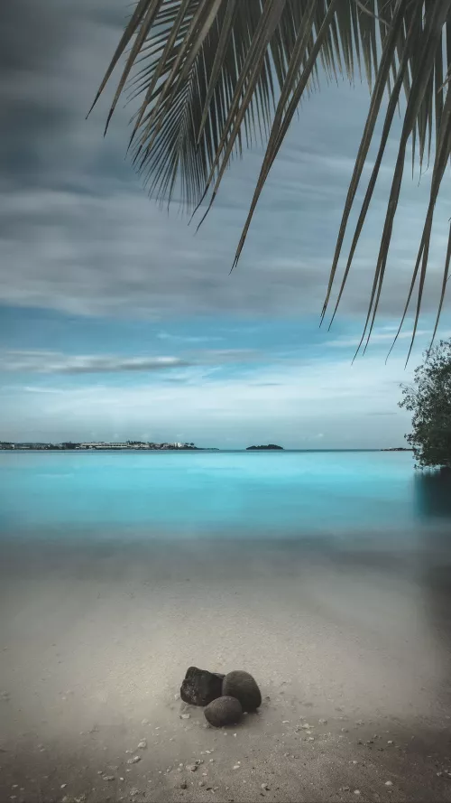 Beautiful summer 💛💙