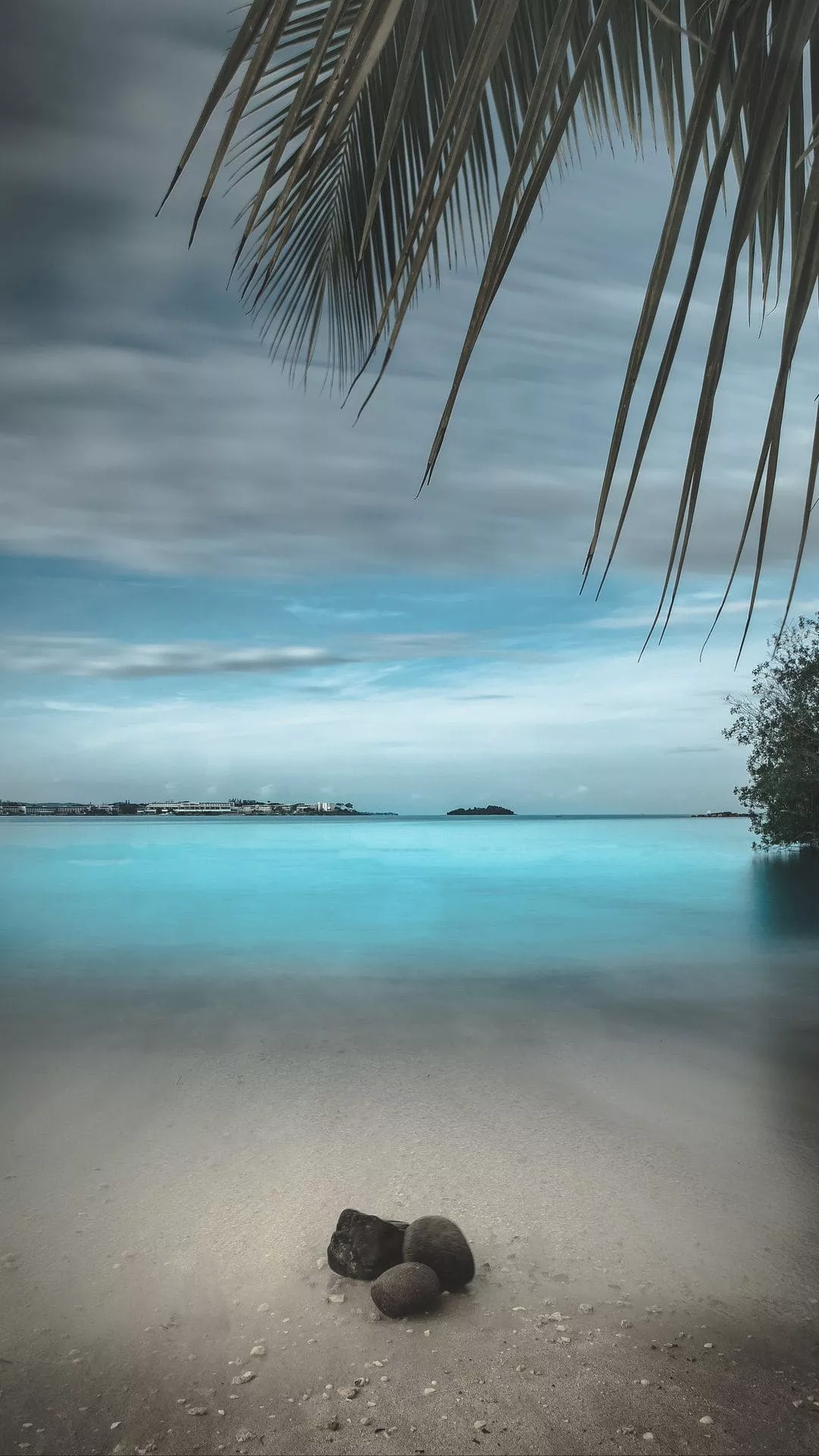 Beautiful summer 💛💙