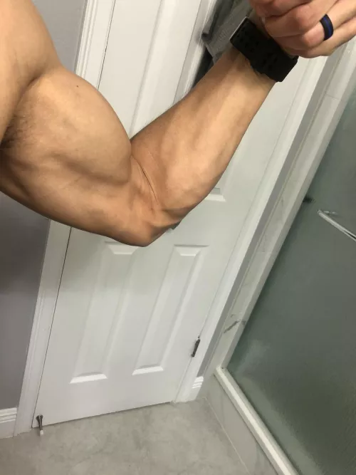 Been working on them recently (Oc)