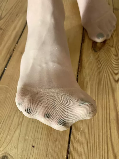 Beg me to sniff my precious socks~