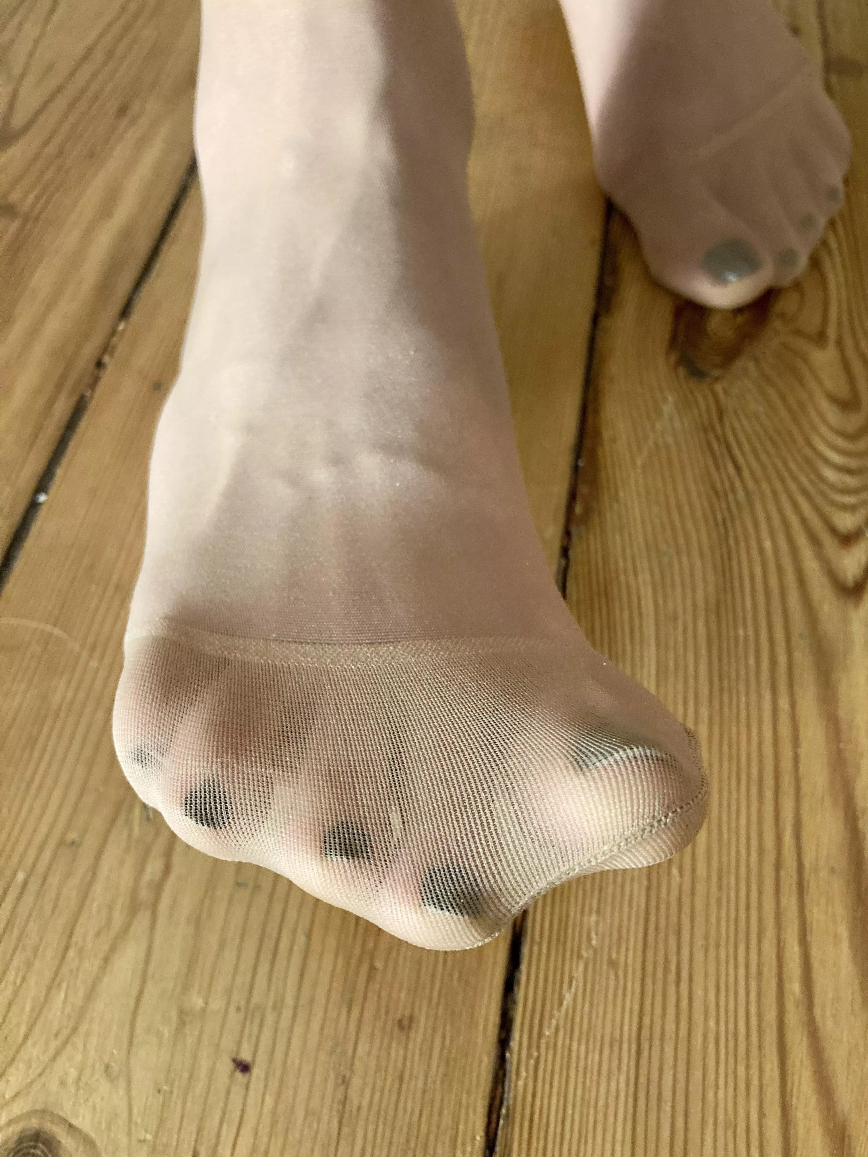 Beg me to sniff my precious socks~