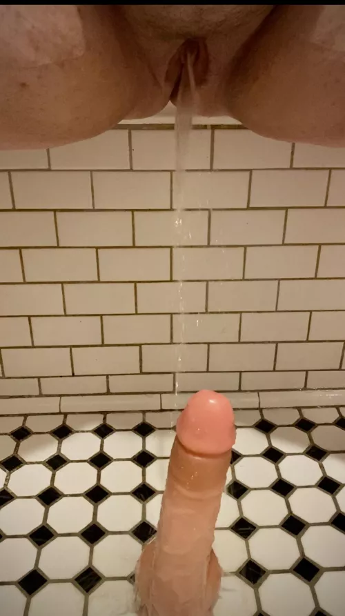 Being a slut for a bull!