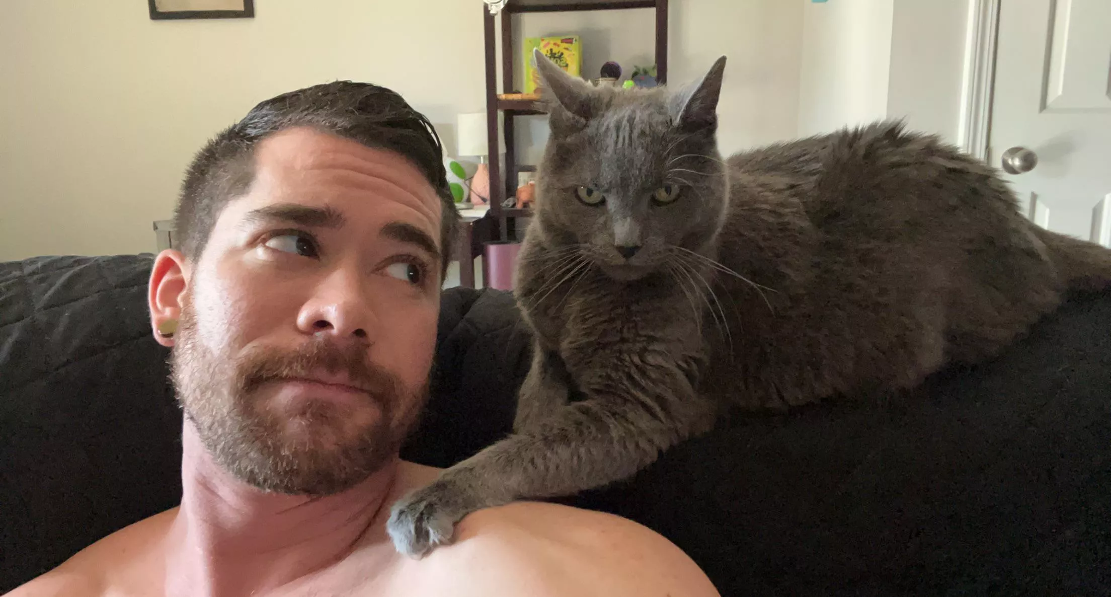 Being attacked by my vicious Russian Blue