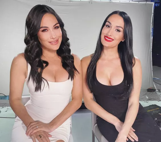 Bella twins cleavage 😍 💕