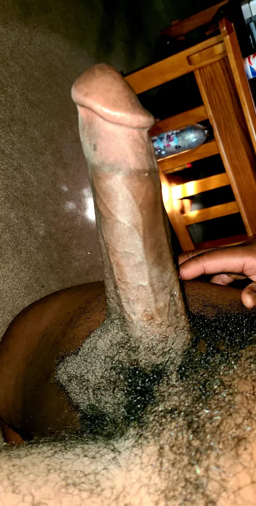 Bend over and shut up😏