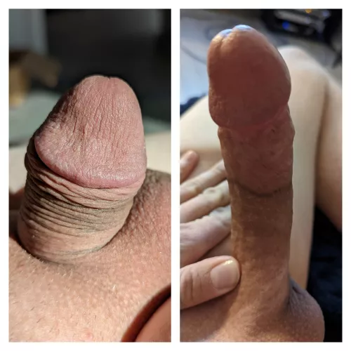 Best of both worlds 😉