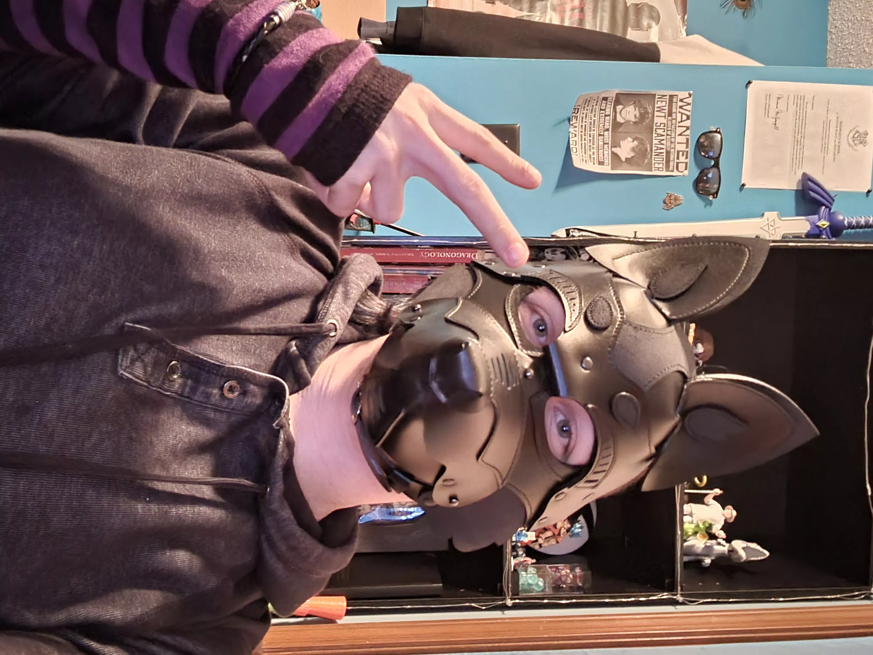 Better Pic of My Pup's First Hood