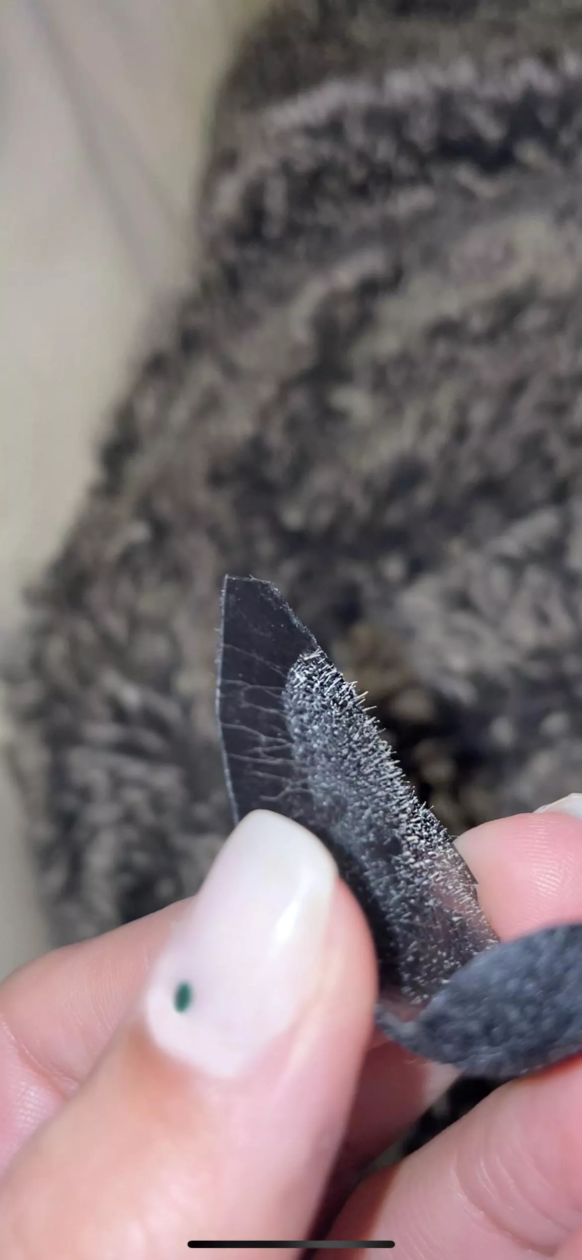 bf’s pore strip pt 3