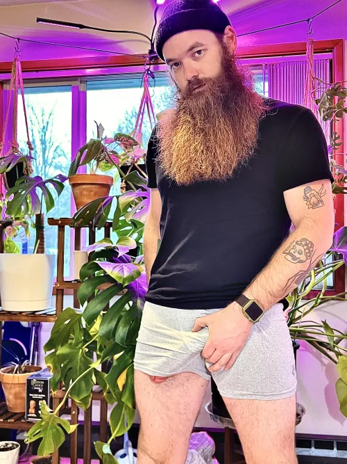 Big beard. Bigger plants.