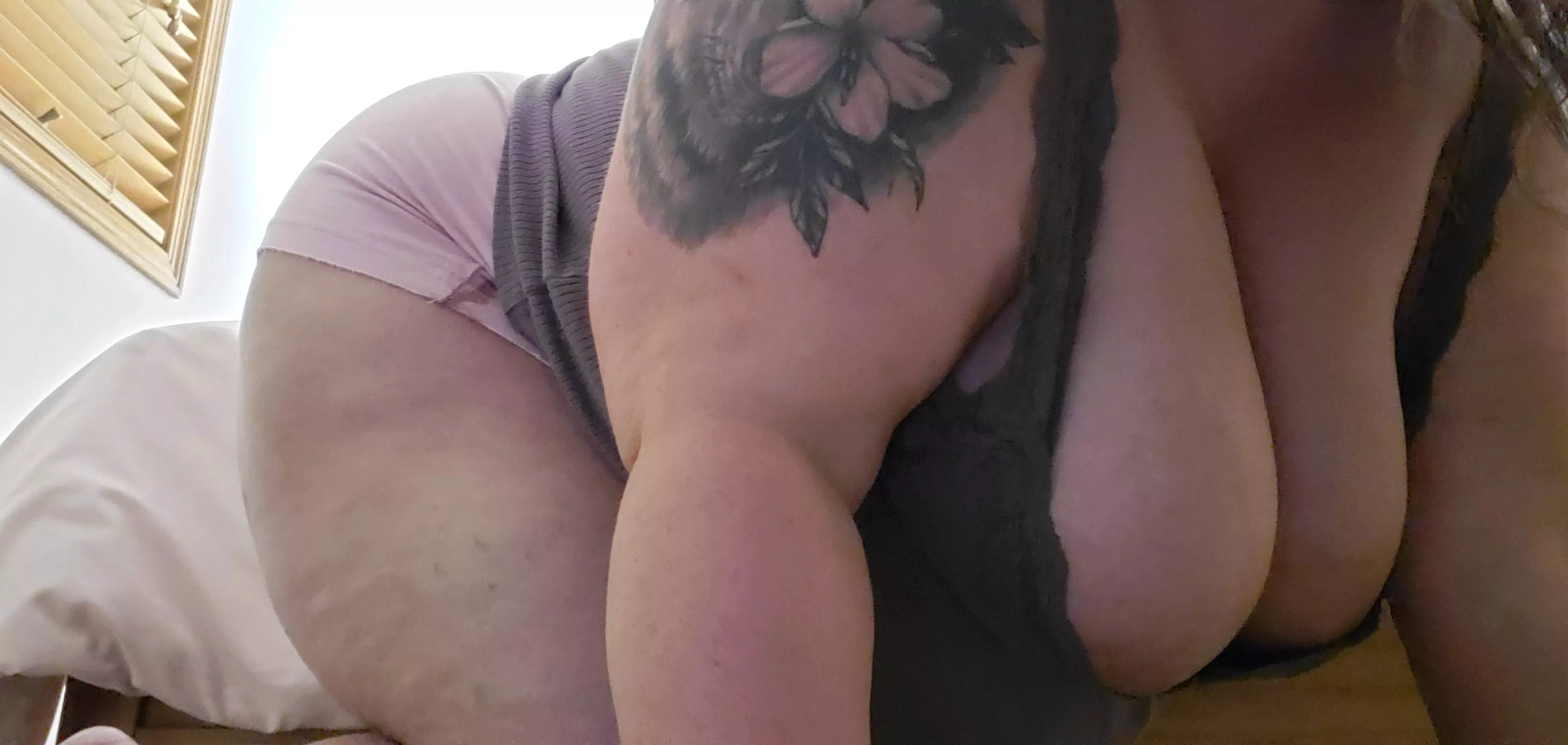 Big boobs, and a big butt... I should be your WCW Big boobs, and a big butt... I should be your WCW